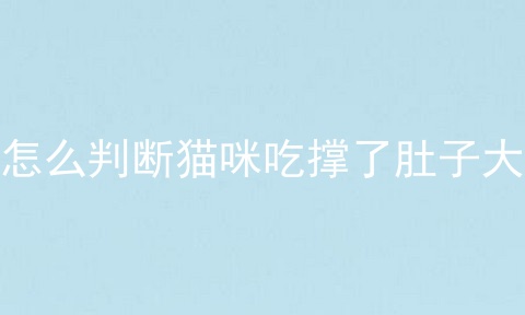 怎么判断猫咪吃撑了肚子大