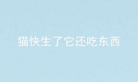 猫快生了它还吃东西