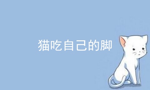 猫吃自己的脚
