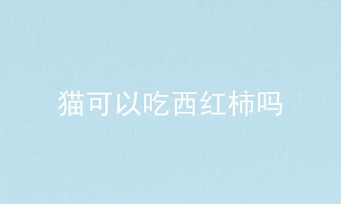 猫可以吃西红柿吗