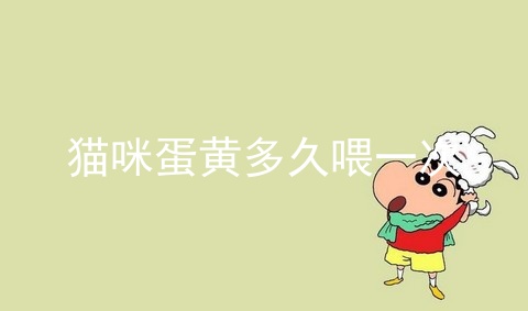猫咪蛋黄多久喂一次