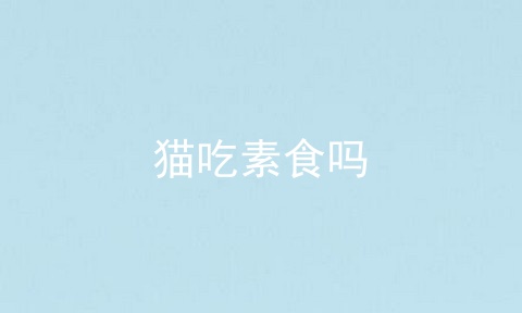 猫吃素食吗