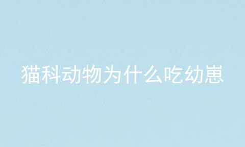 猫科动物为什么吃幼崽