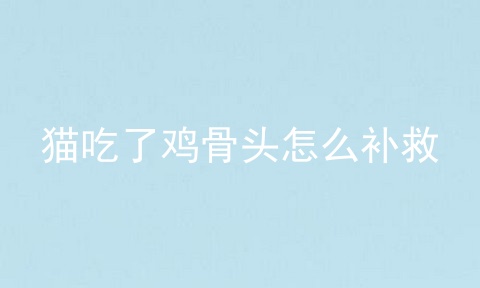 猫吃了鸡骨头怎么补救