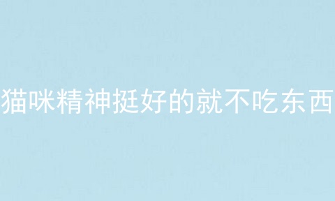 猫咪精神挺好的就不吃东西