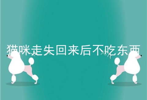 猫咪走失回来后不吃东西