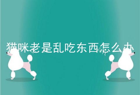 猫咪老是乱吃东西怎么办