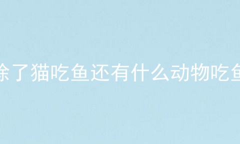 除了猫吃鱼还有什么动物吃鱼