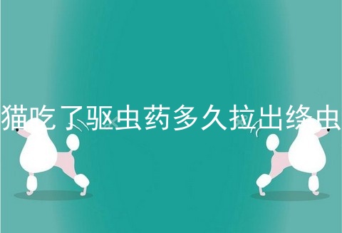 猫吃了驱虫药多久拉出绦虫