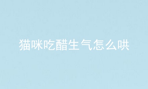 猫咪吃醋生气怎么哄