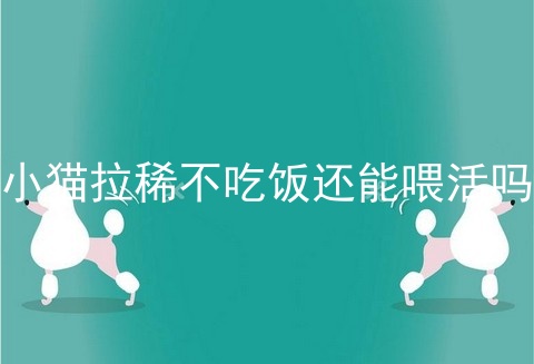 小猫拉稀不吃饭还能喂活吗