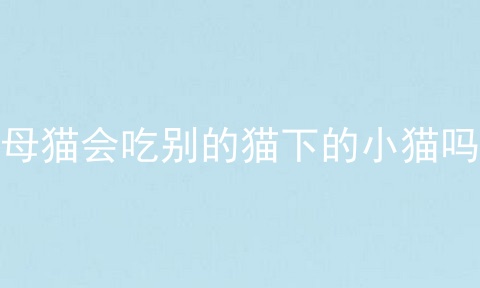 母猫会吃别的猫下的小猫吗