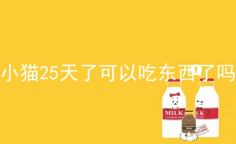 小猫25天了可以吃东西了吗