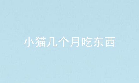 小猫几个月吃东西