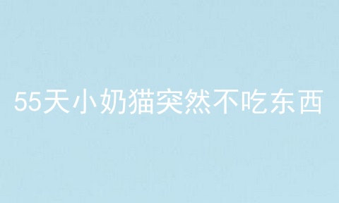 55天小奶猫突然不吃东西