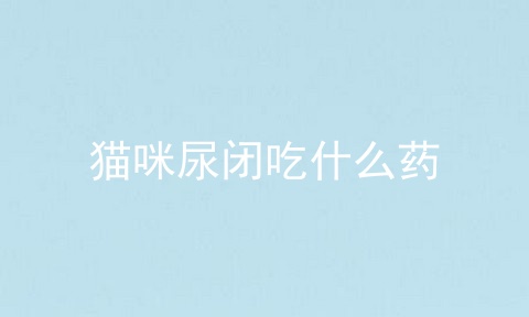 猫咪尿闭吃什么药