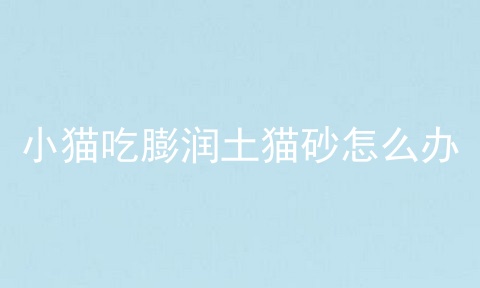 小猫吃膨润土猫砂怎么办