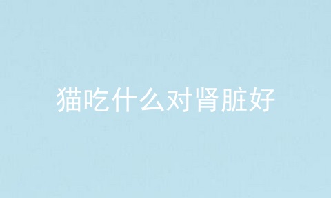 猫吃什么对肾脏好