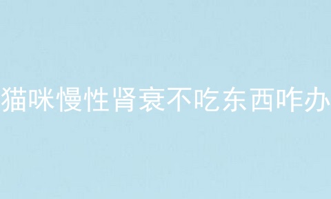 猫咪慢性肾衰不吃东西咋办