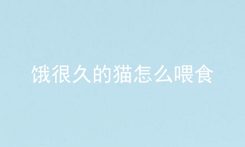 饿很久的猫怎么喂食