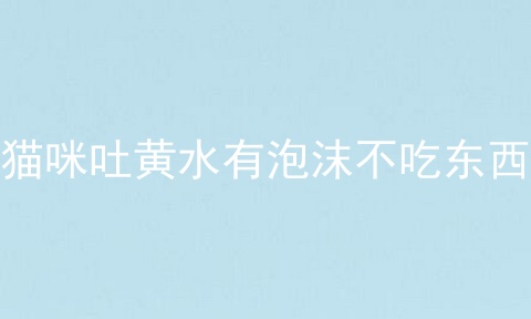 猫咪吐黄水有泡沫不吃东西