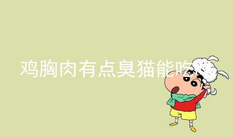 鸡胸肉有点臭猫能吃吗