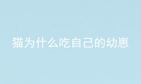 猫为什么吃自己的幼崽