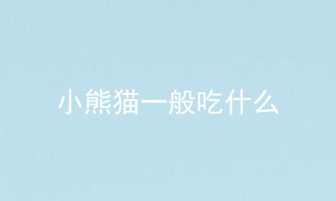 小熊猫一般吃什么