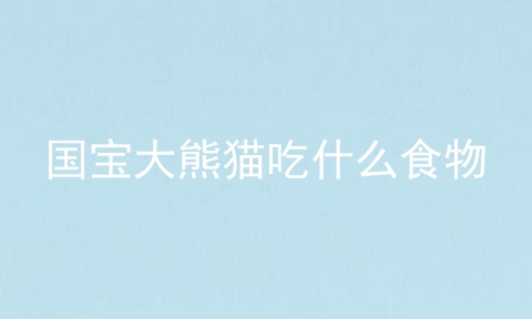 国宝大熊猫吃什么食物