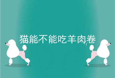 猫能不能吃羊肉卷
