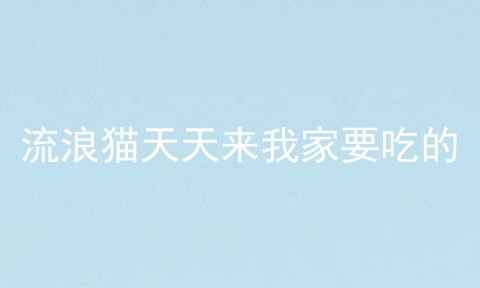 流浪猫天天来我家要吃的