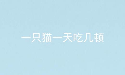 一只猫一天吃几顿