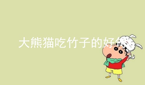 大熊猫吃竹子的好句