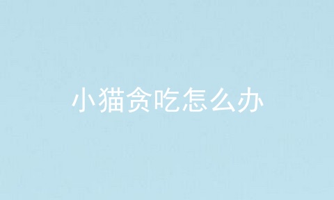 小猫贪吃怎么办