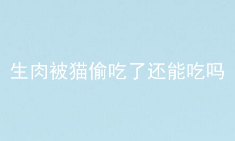 生肉被猫偷吃了还能吃吗