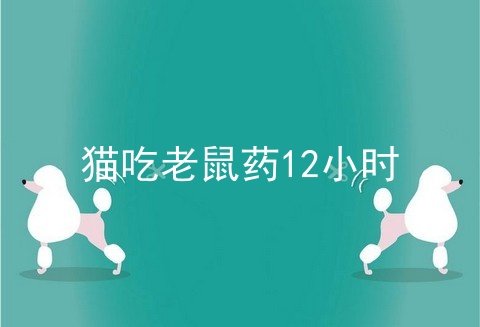 猫吃老鼠药12小时