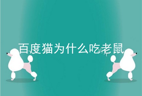 百度猫为什么吃老鼠