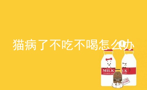 猫病了不吃不喝怎么办