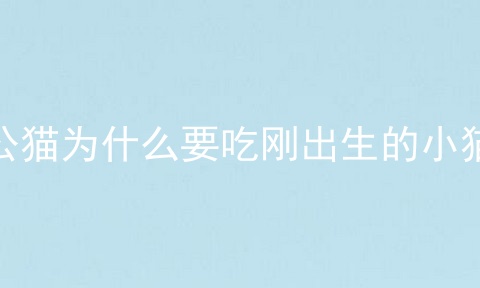 公猫为什么要吃刚出生的小猫