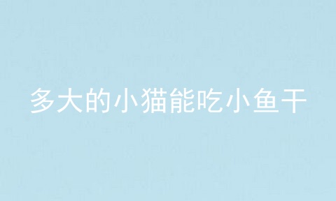 多大的小猫能吃小鱼干