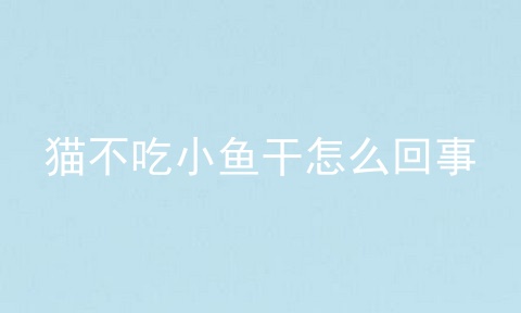 猫不吃小鱼干怎么回事