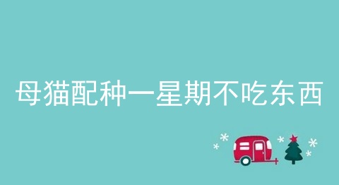 母猫配种一星期不吃东西