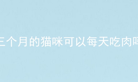 三个月的猫咪可以每天吃肉吗