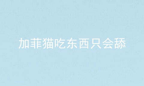 加菲猫吃东西只会舔