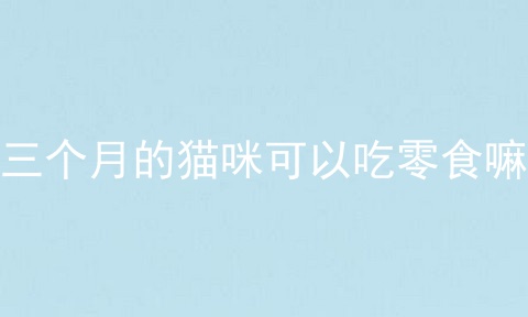 三个月的猫咪可以吃零食嘛
