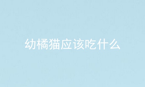 幼橘猫应该吃什么