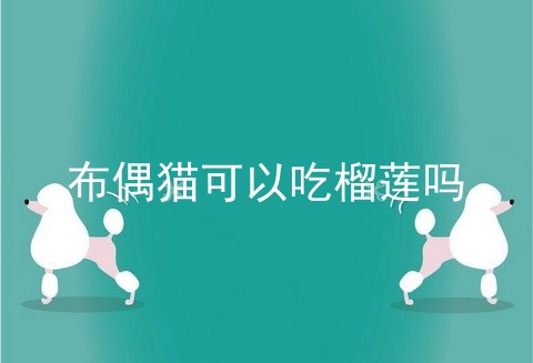 布偶猫可以吃榴莲吗