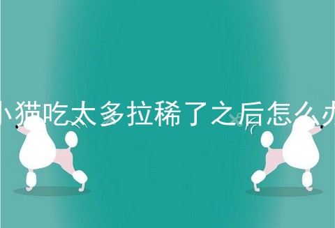 小猫吃太多拉稀了之后怎么办