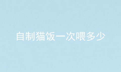 自制猫饭一次喂多少