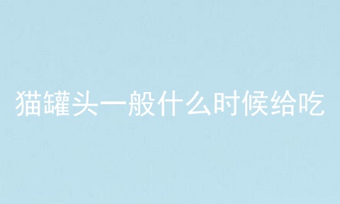 猫罐头一般什么时候给吃